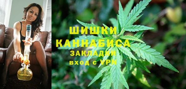 сатива Абинск
