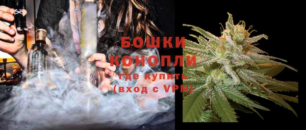 ГАЛЛЮЦИНОГЕННЫЕ ГРИБЫ Осинники