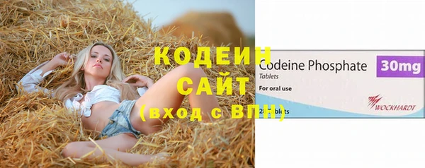 ГАЛЛЮЦИНОГЕННЫЕ ГРИБЫ Осинники
