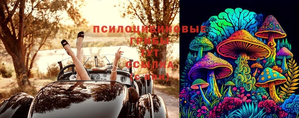 ГАЛЛЮЦИНОГЕННЫЕ ГРИБЫ Осинники