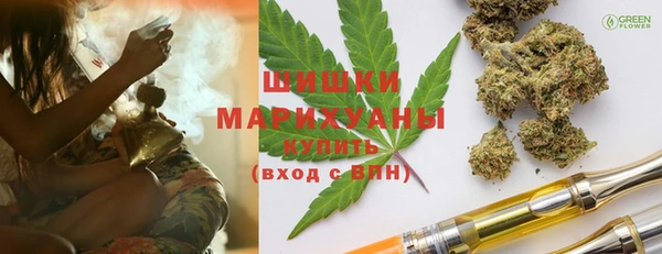 ГАЛЛЮЦИНОГЕННЫЕ ГРИБЫ Осинники
