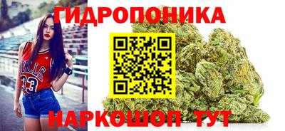 индика Первоуральск