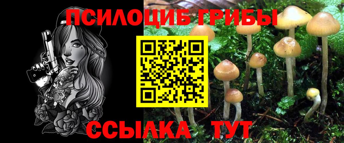 Псилоцибиновые грибы мицелий  как найти   Псилоцибиновые грибы мицелий  Янаул  Вход с VPN 